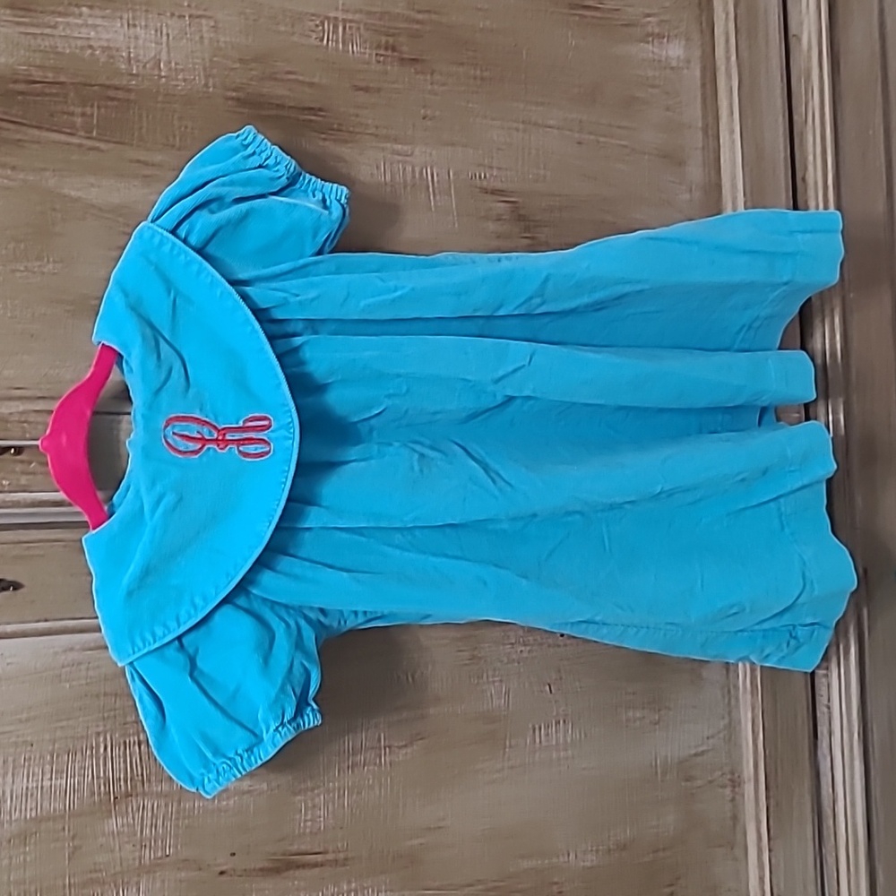 R Embroidered Cord Dress